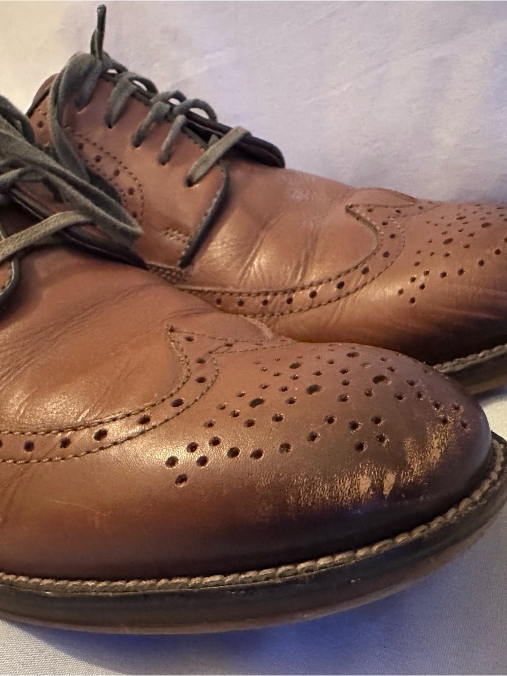 Johnston & Murphy Brown Leather Wingtip Oxfords with Olive Fabric Panels